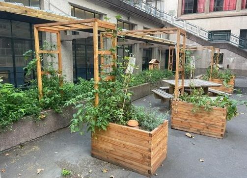 Bacs de culture, pour l'extérieur